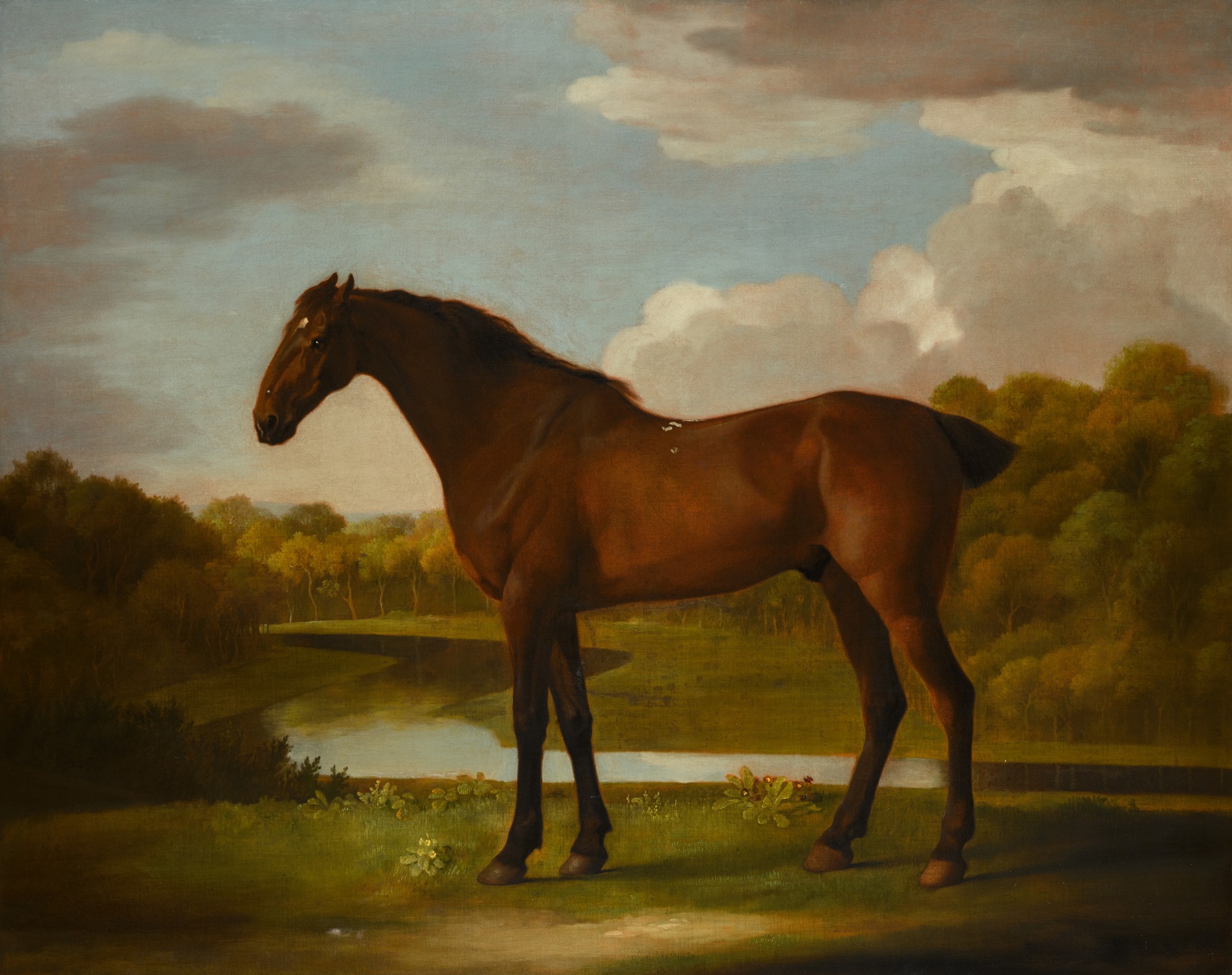 George Stubbs