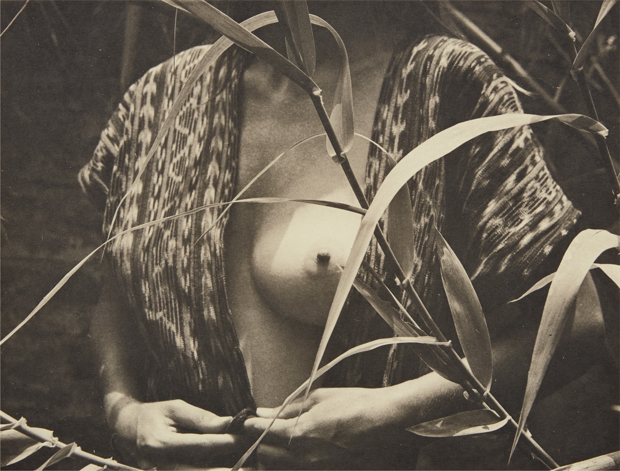 Manuel Álvarez Bravo