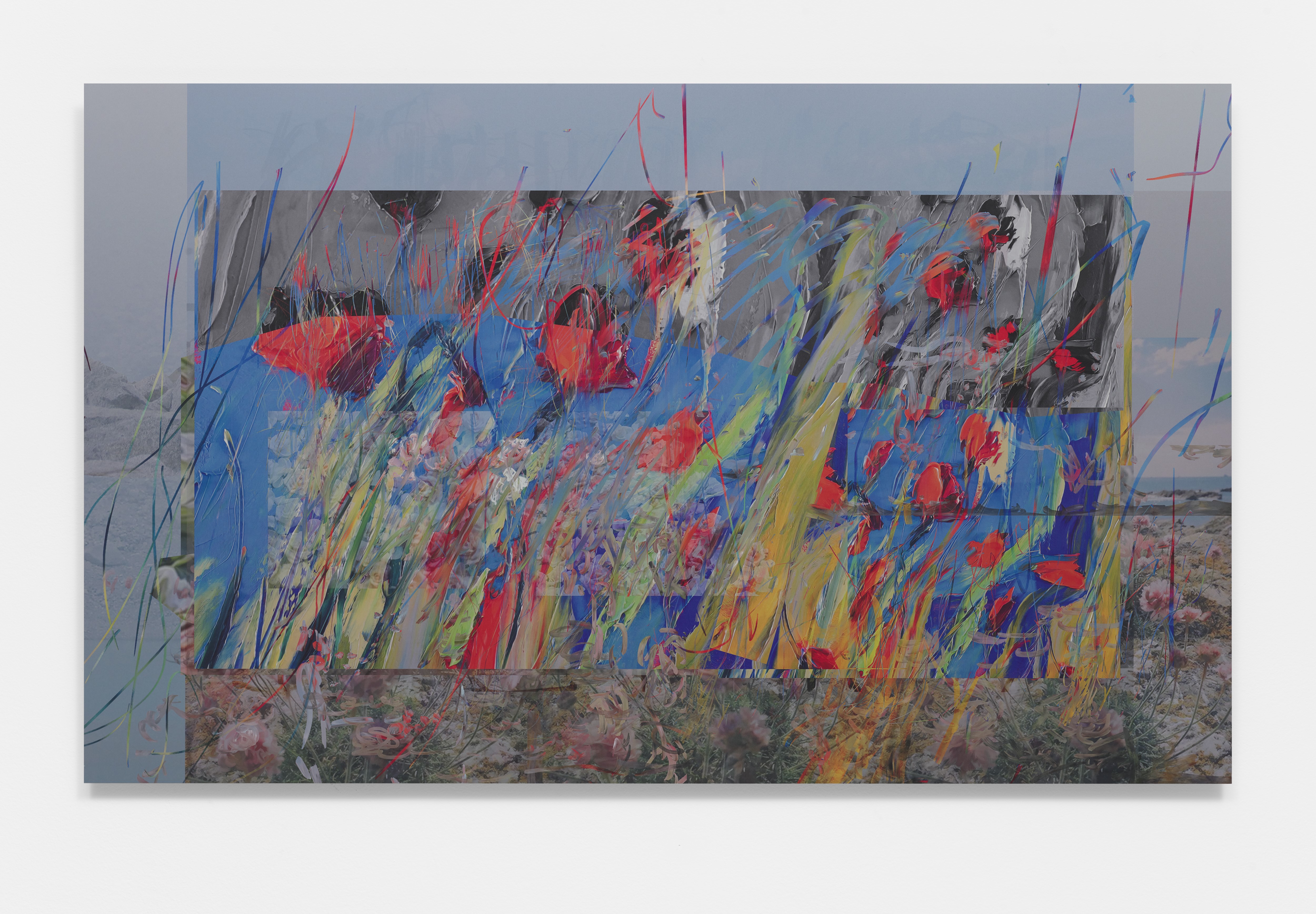 Petra Cortright