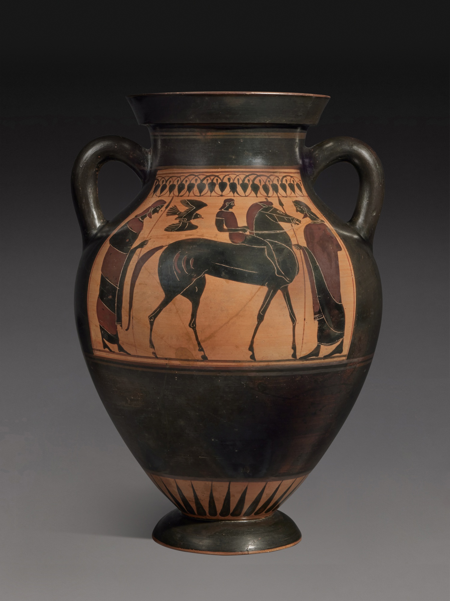An Attic Black-figured Belly Amphora