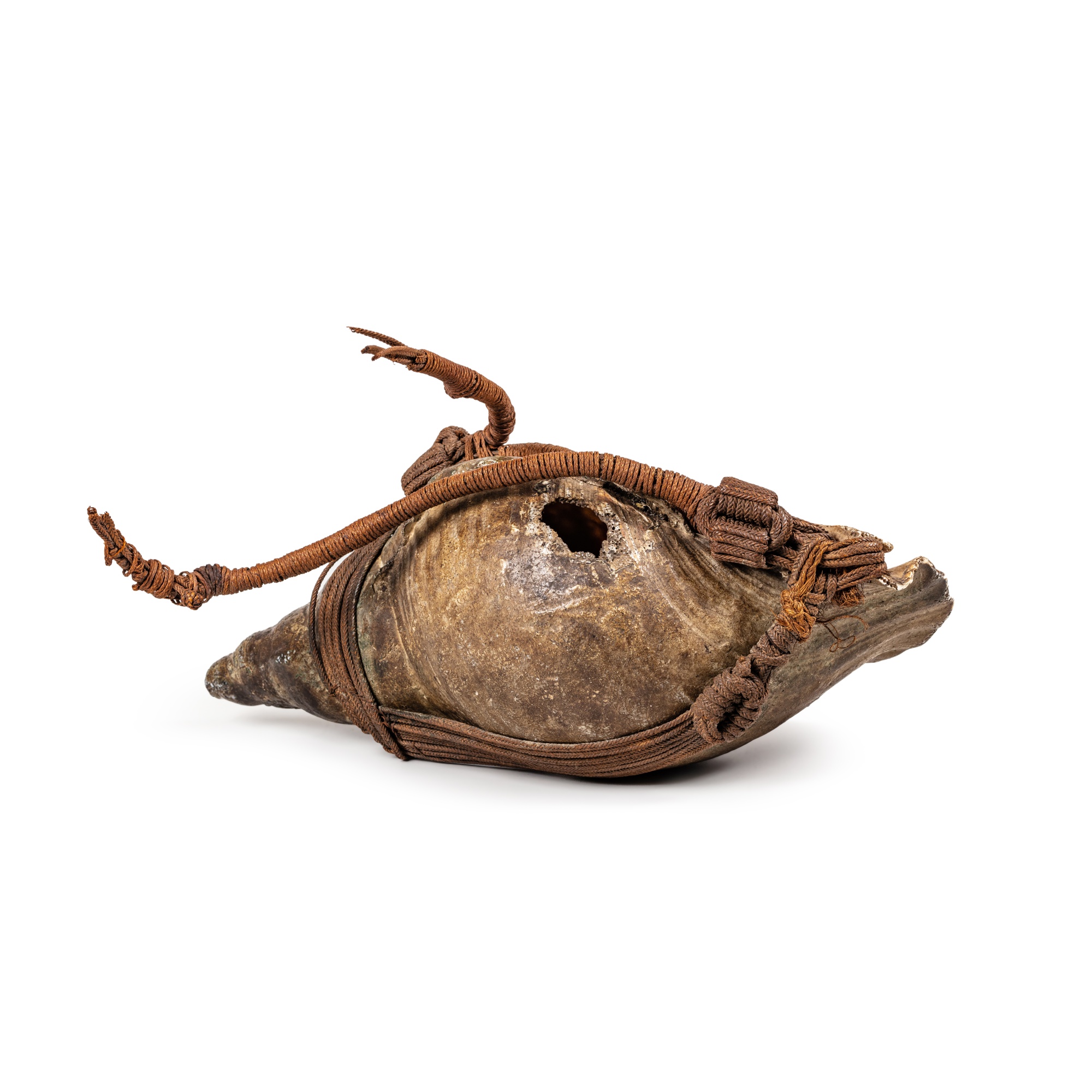 Conque de triton putoka, Îles Marquises