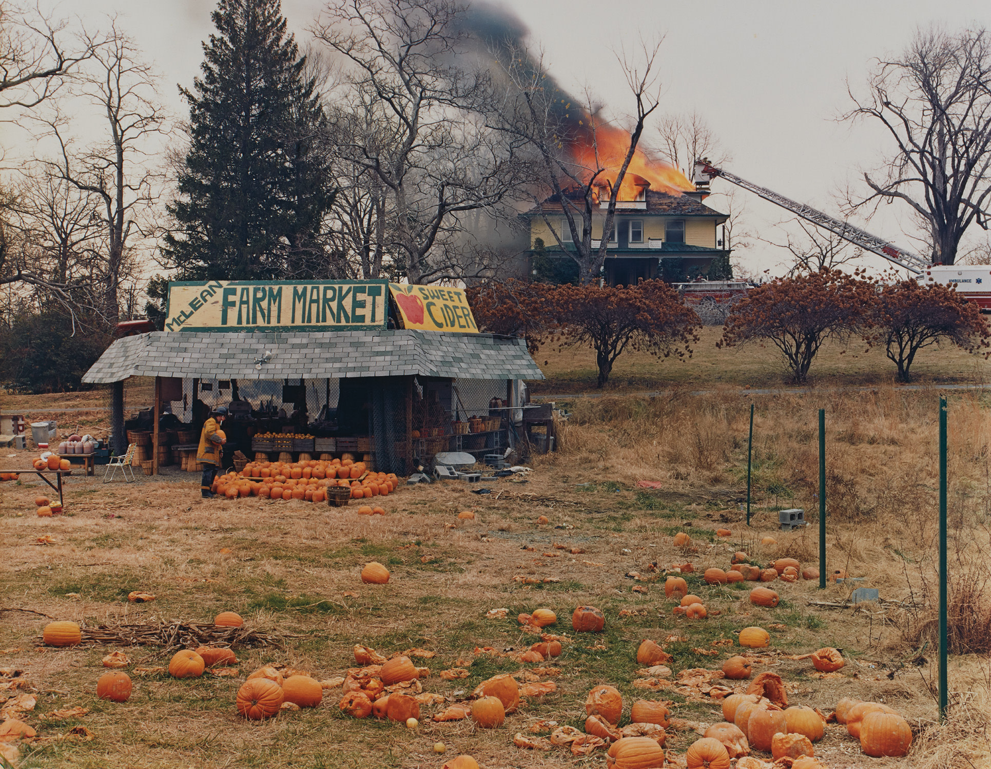 Joel Sternfeld