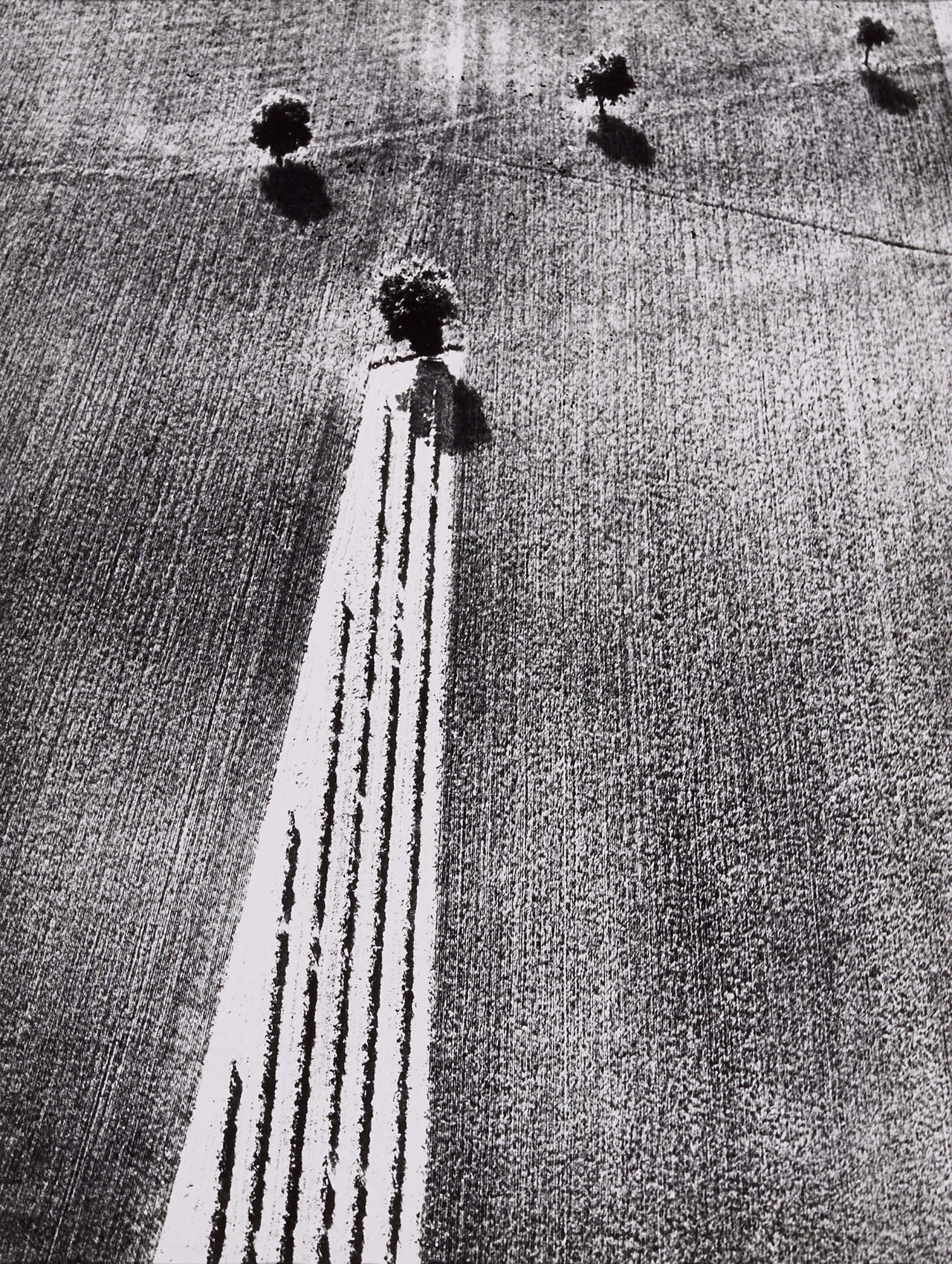 Mario Giacomelli