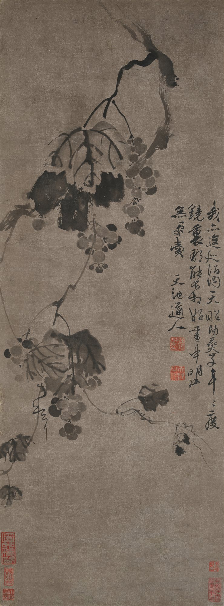 Attributed to Xu Wei
