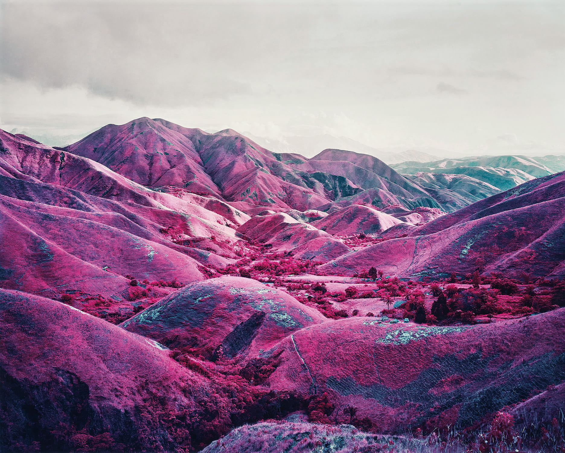 Richard Mosse