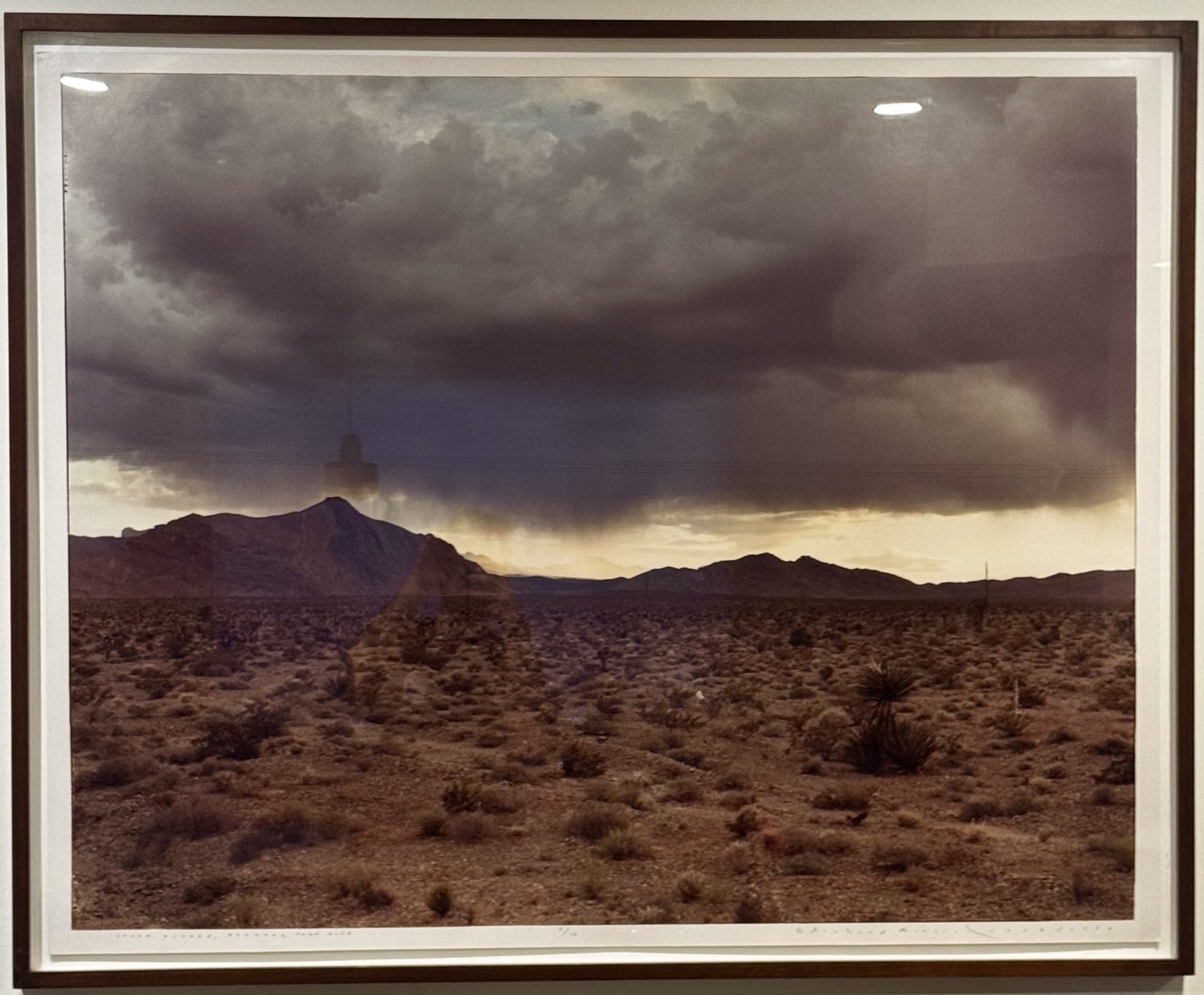 Richard Misrach