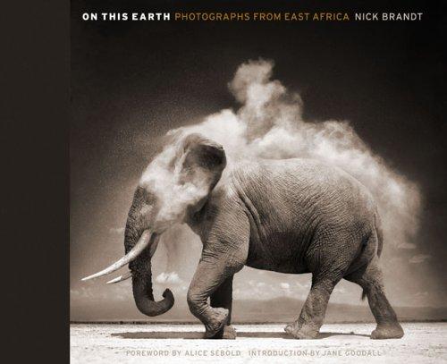 On This Earth: A New Introduction to the Animals