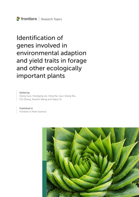Cai Guo-Qiang: Illumia