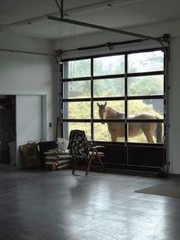 Deborah Butterfield: 40 Years