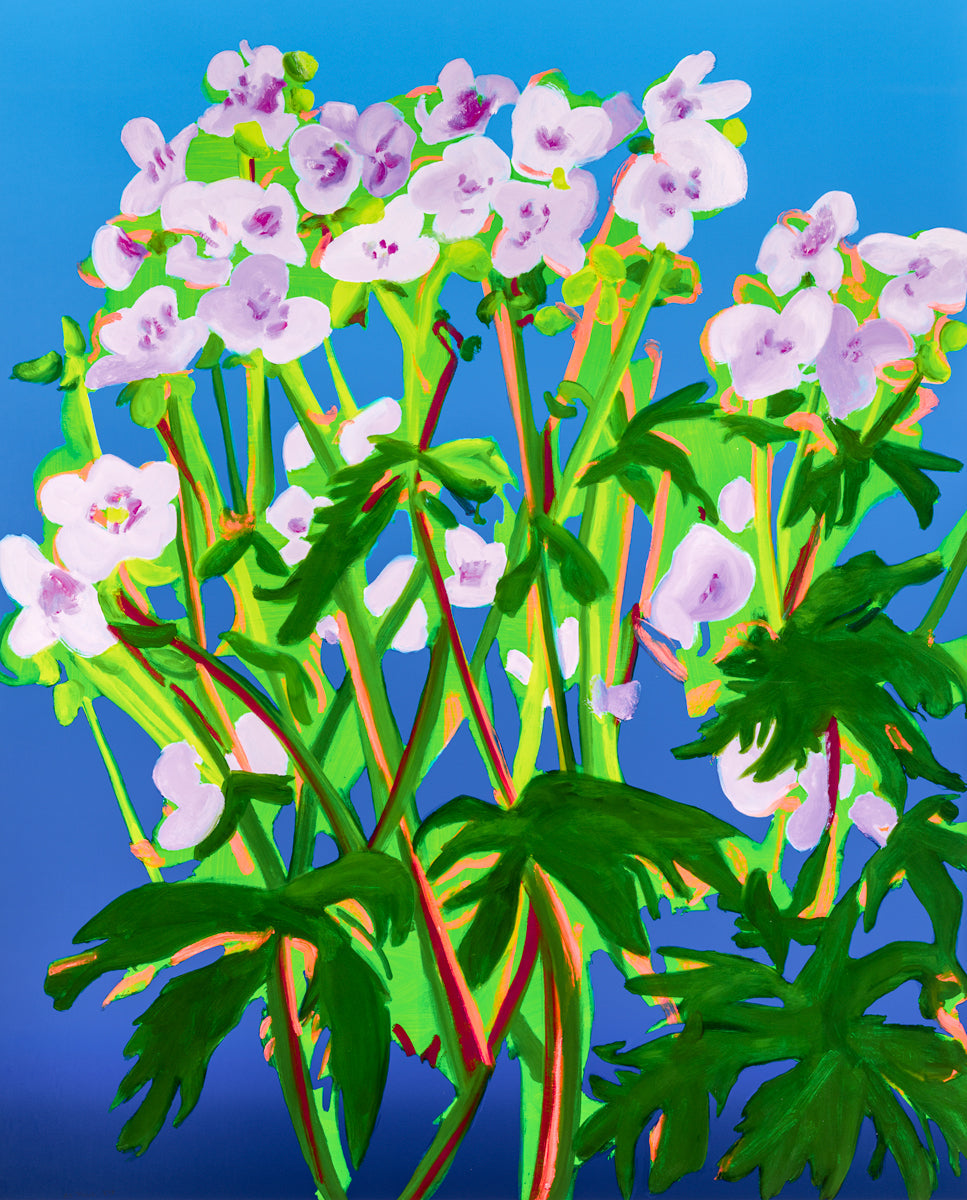 Nicole Wittenberg — Sweet William 2