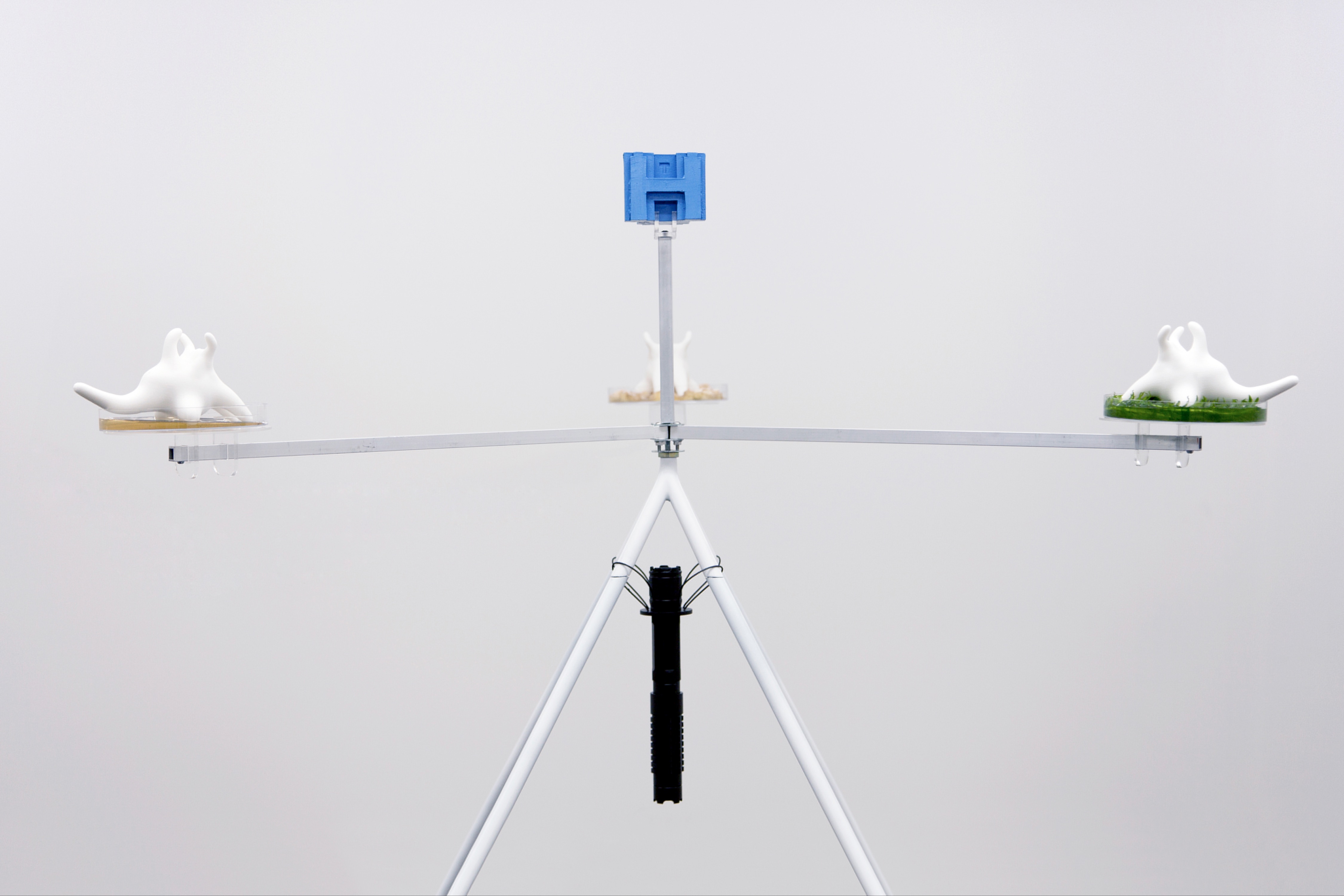 Iain Ball — [Rare Earth Sculptures] Thulium (Installation I)