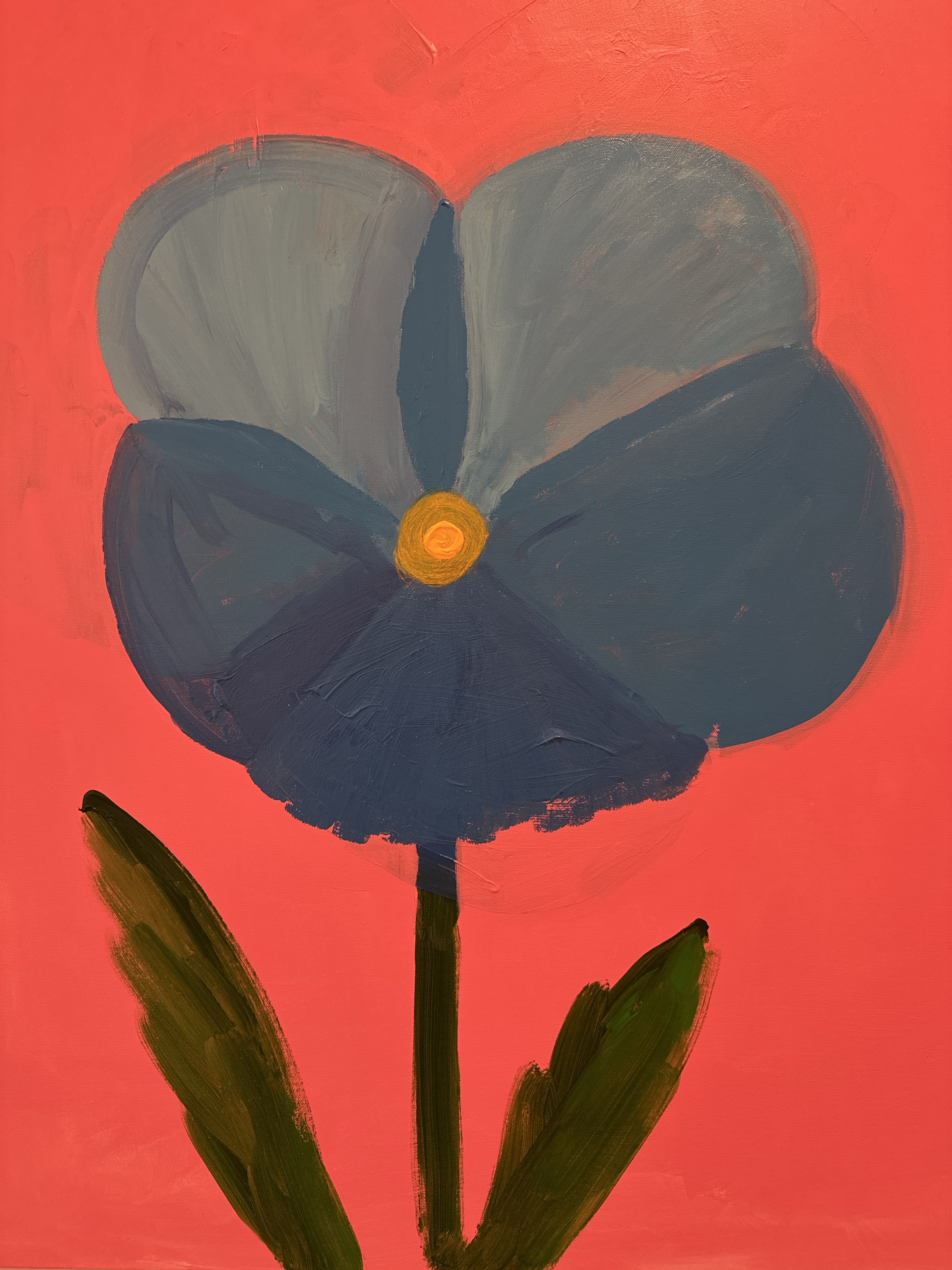 James Donovan — Untitled Spring 5