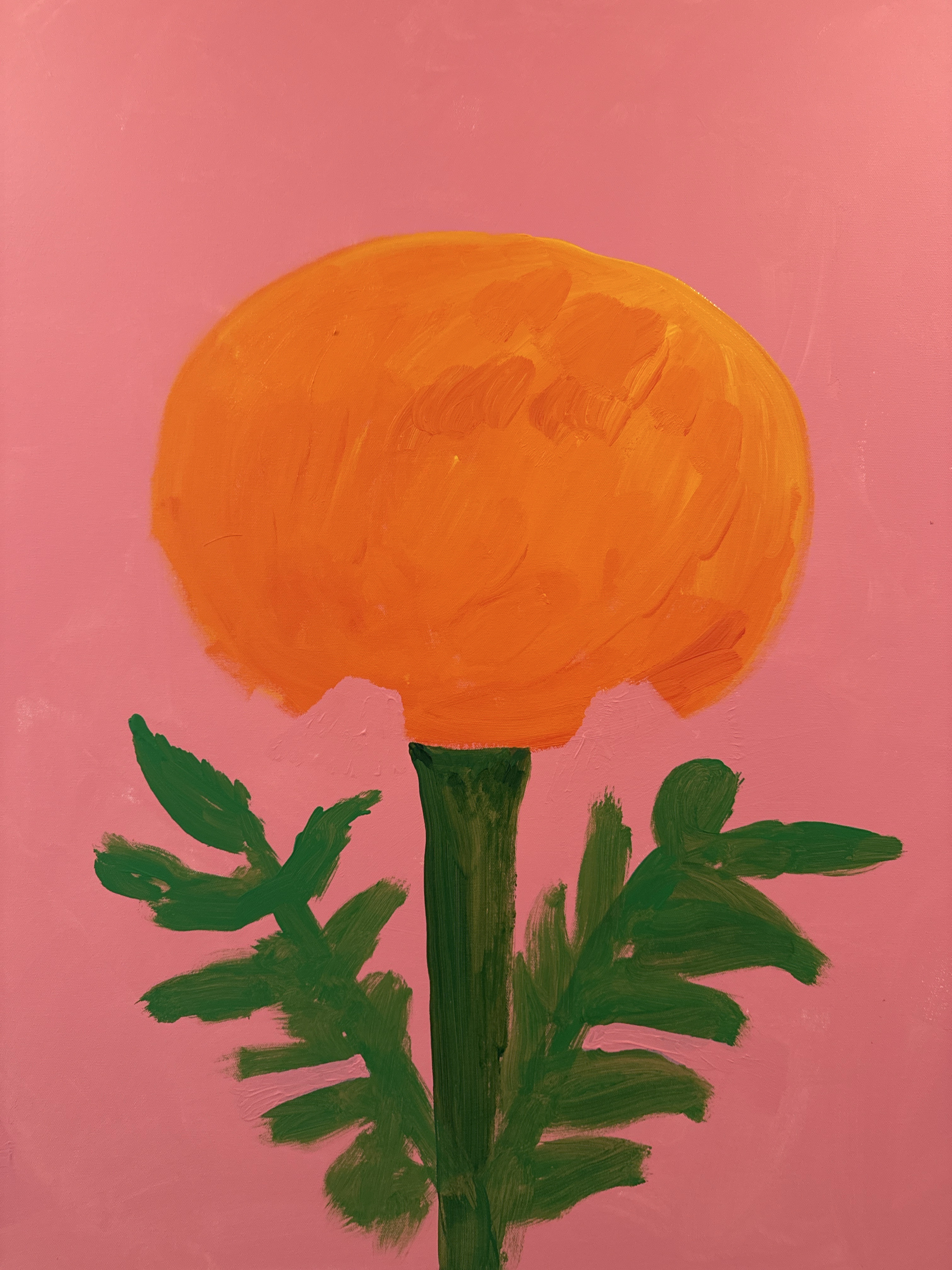 James Donovan — Untitled Spring 2