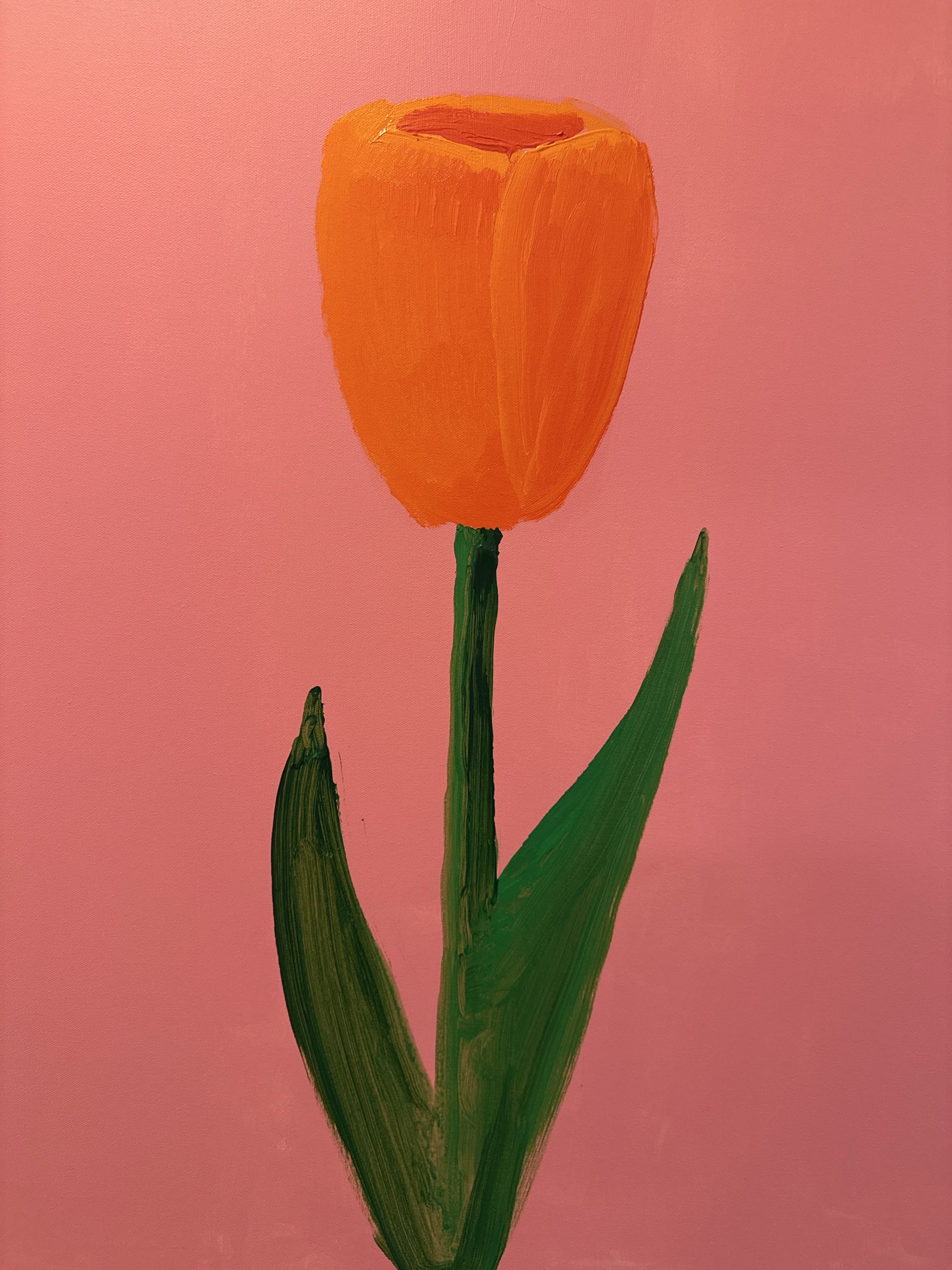 James Donovan — Untitled Spring 1