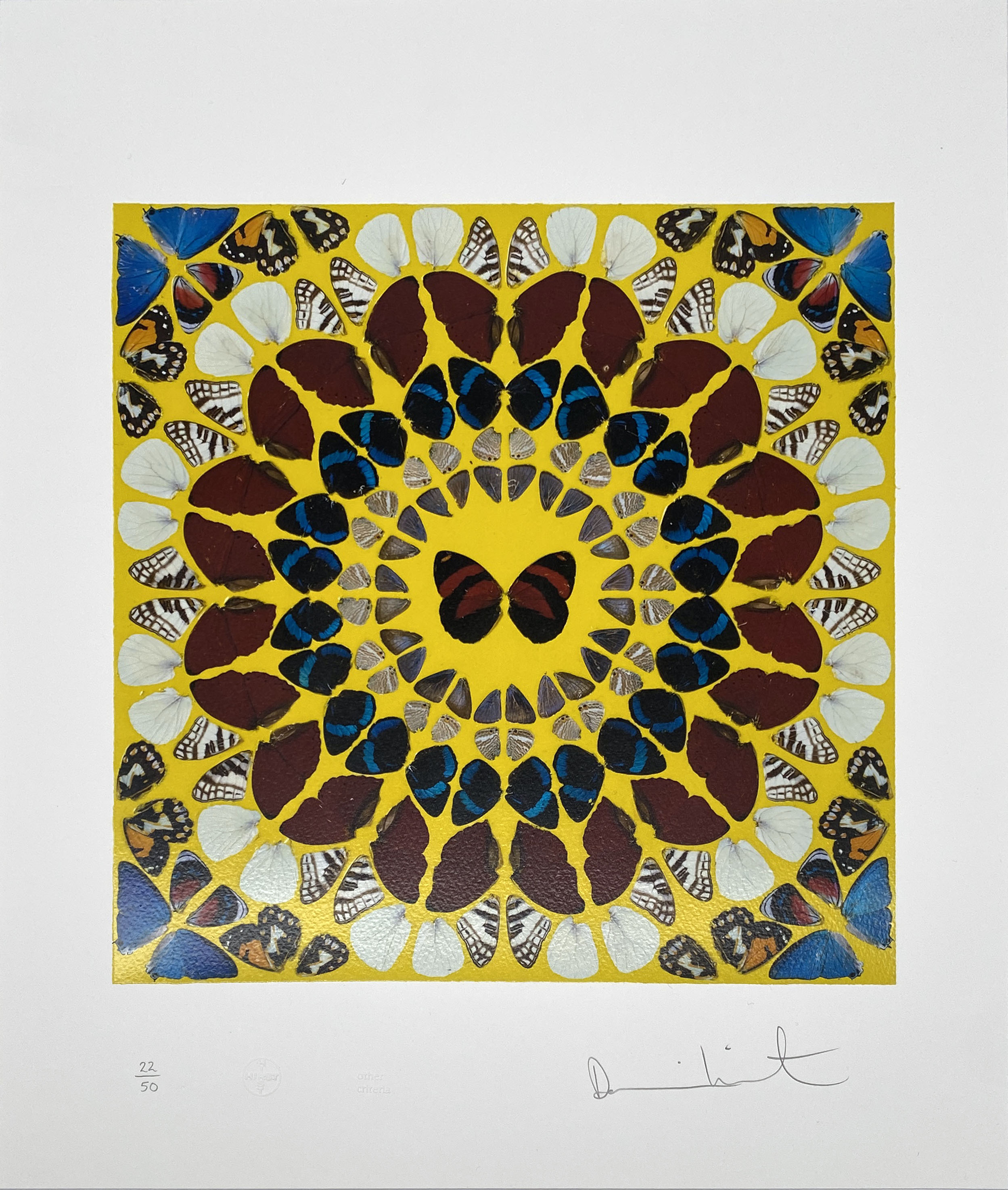 Damien Hirst — Miracle