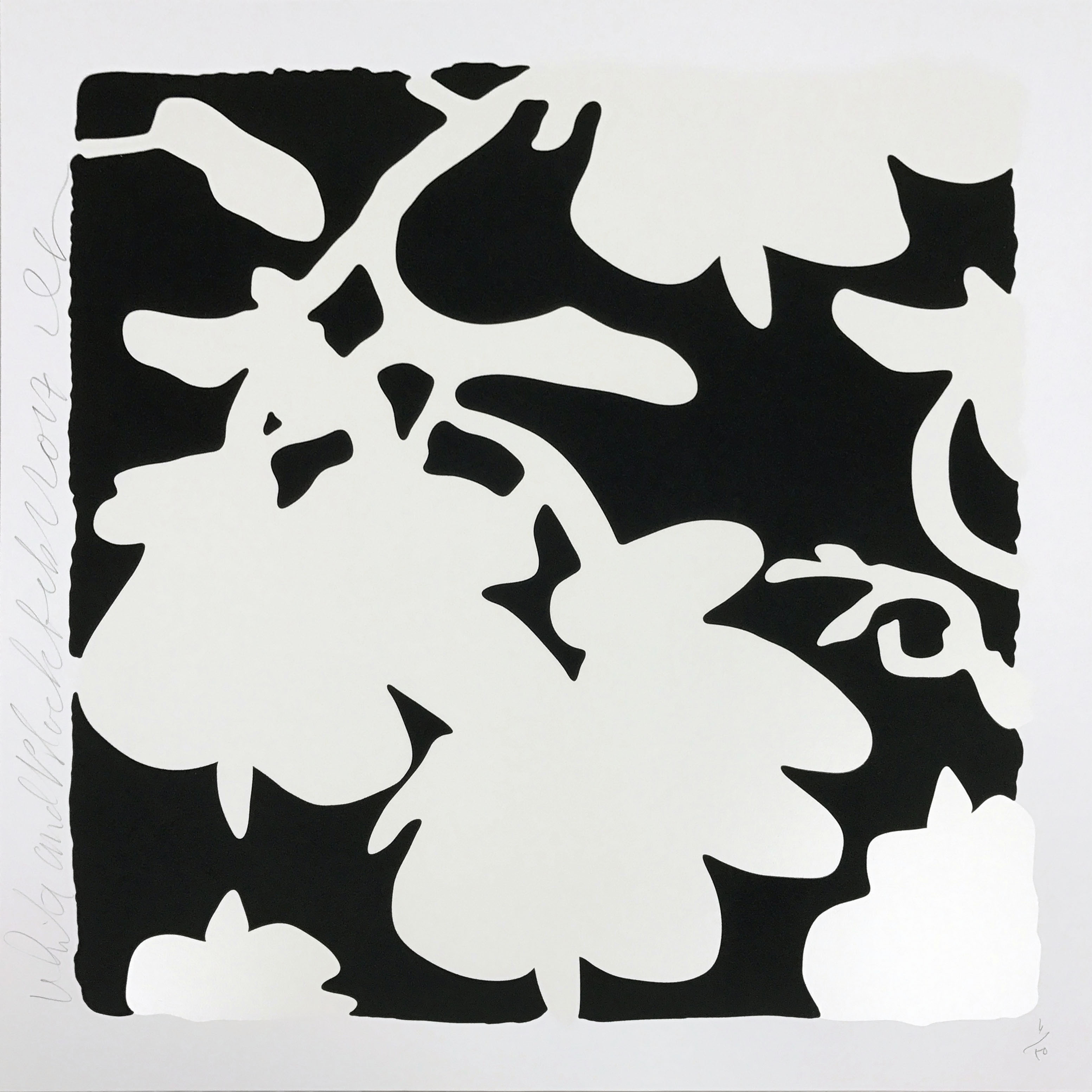Donald Sultan — Lantern Flowers - White/Black background