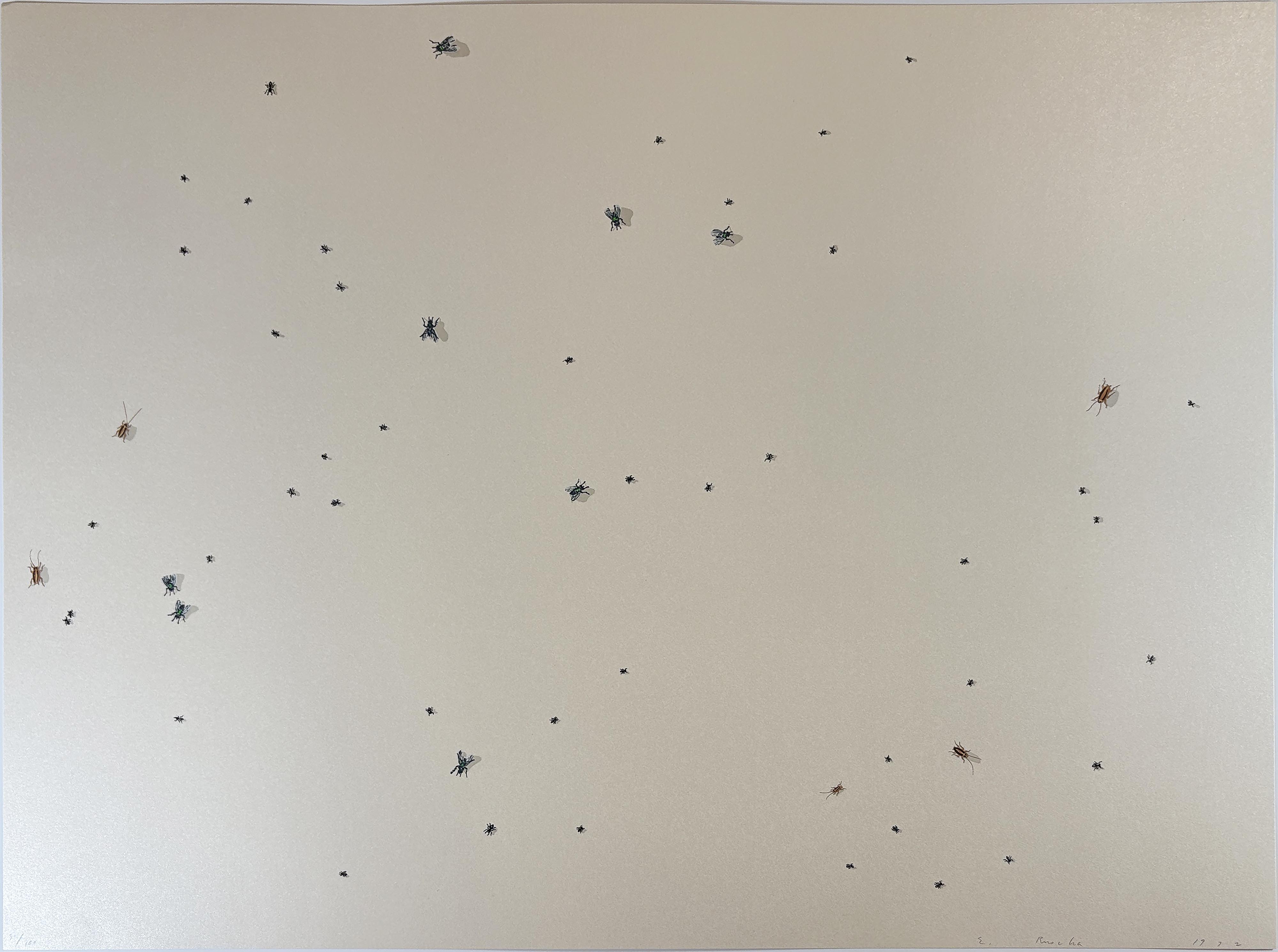 Ed Ruscha — Pearl Dust Combination from the Insects Portfolio