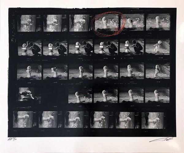 Marilyn Monroe (small): Proof Sheet 14