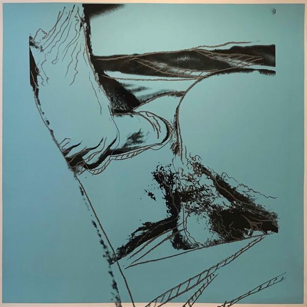 Andy Warhol — Sex Parts II.172