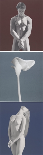 Robert Mapplethorpe — America 3 piece Suite 