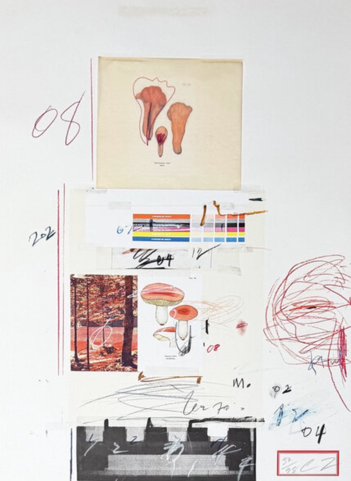 Cy Twombly — Natural History Part I: Mushrooms