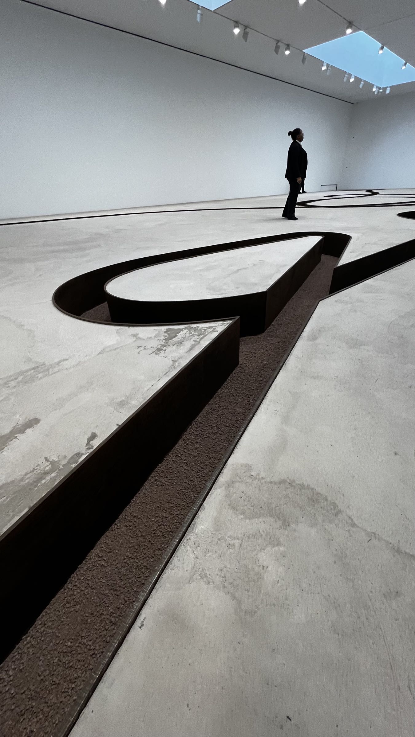 Michael Heizer