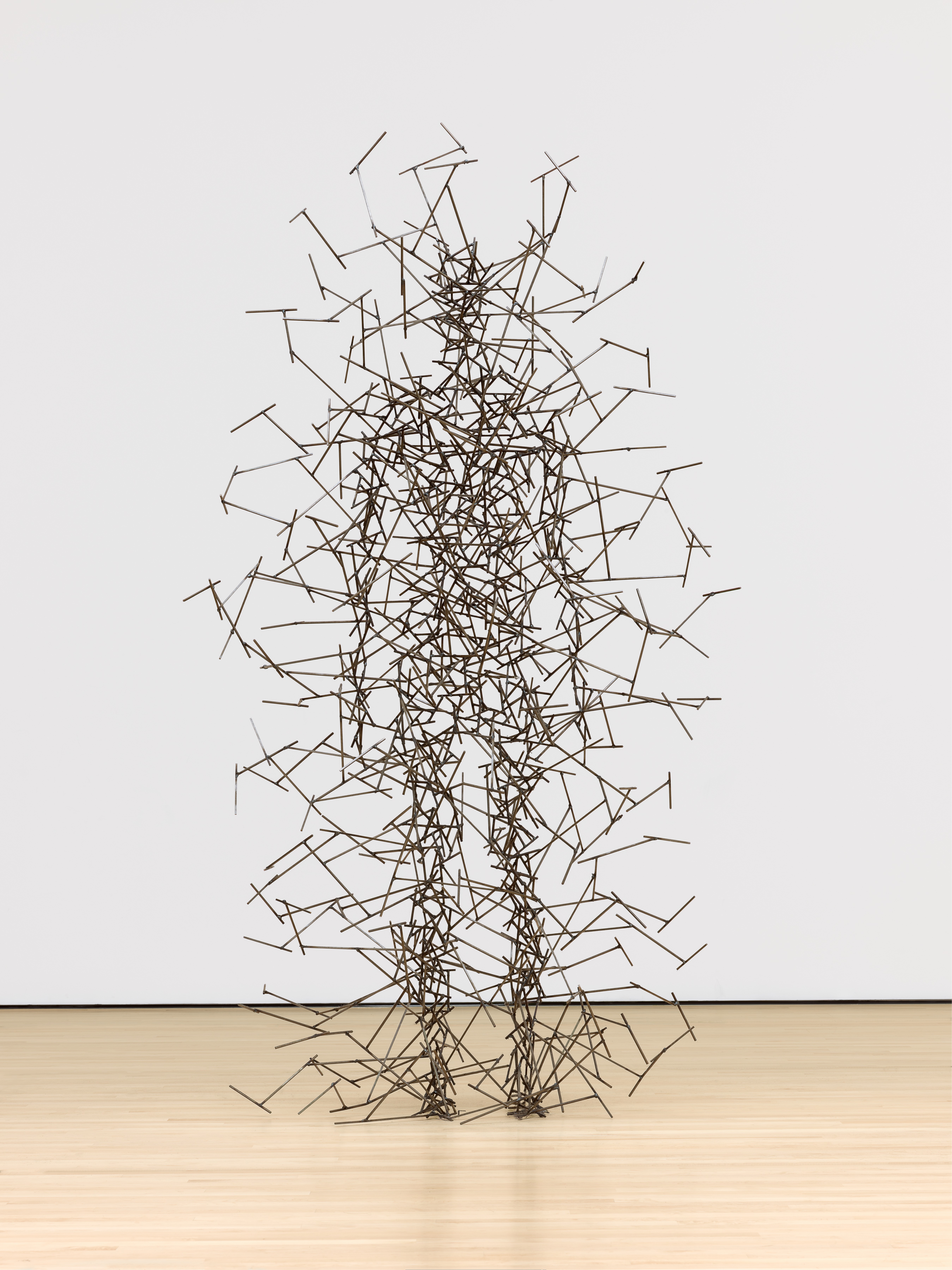 Antony Gormley — Quantum Cloud VIII