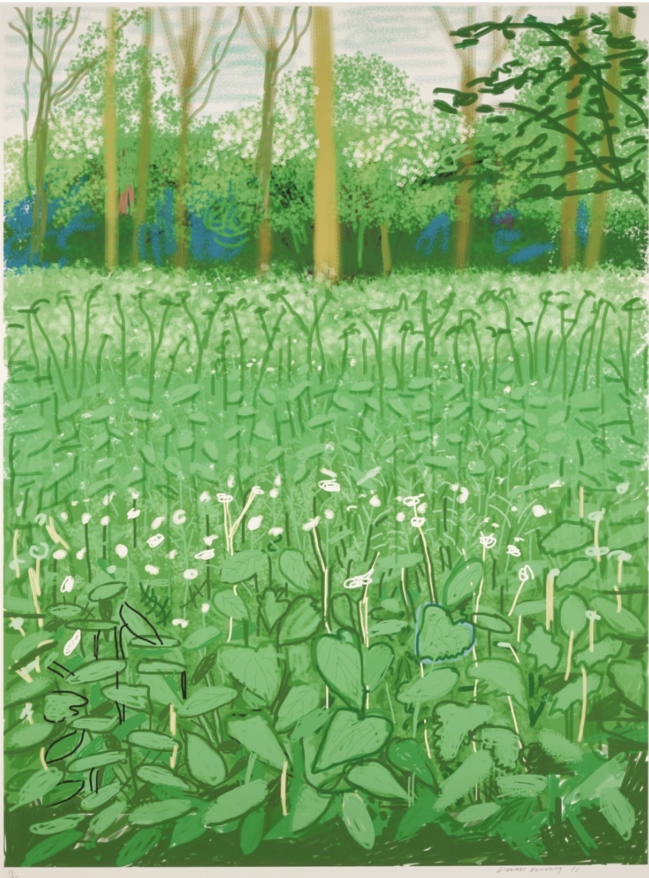David Hockney