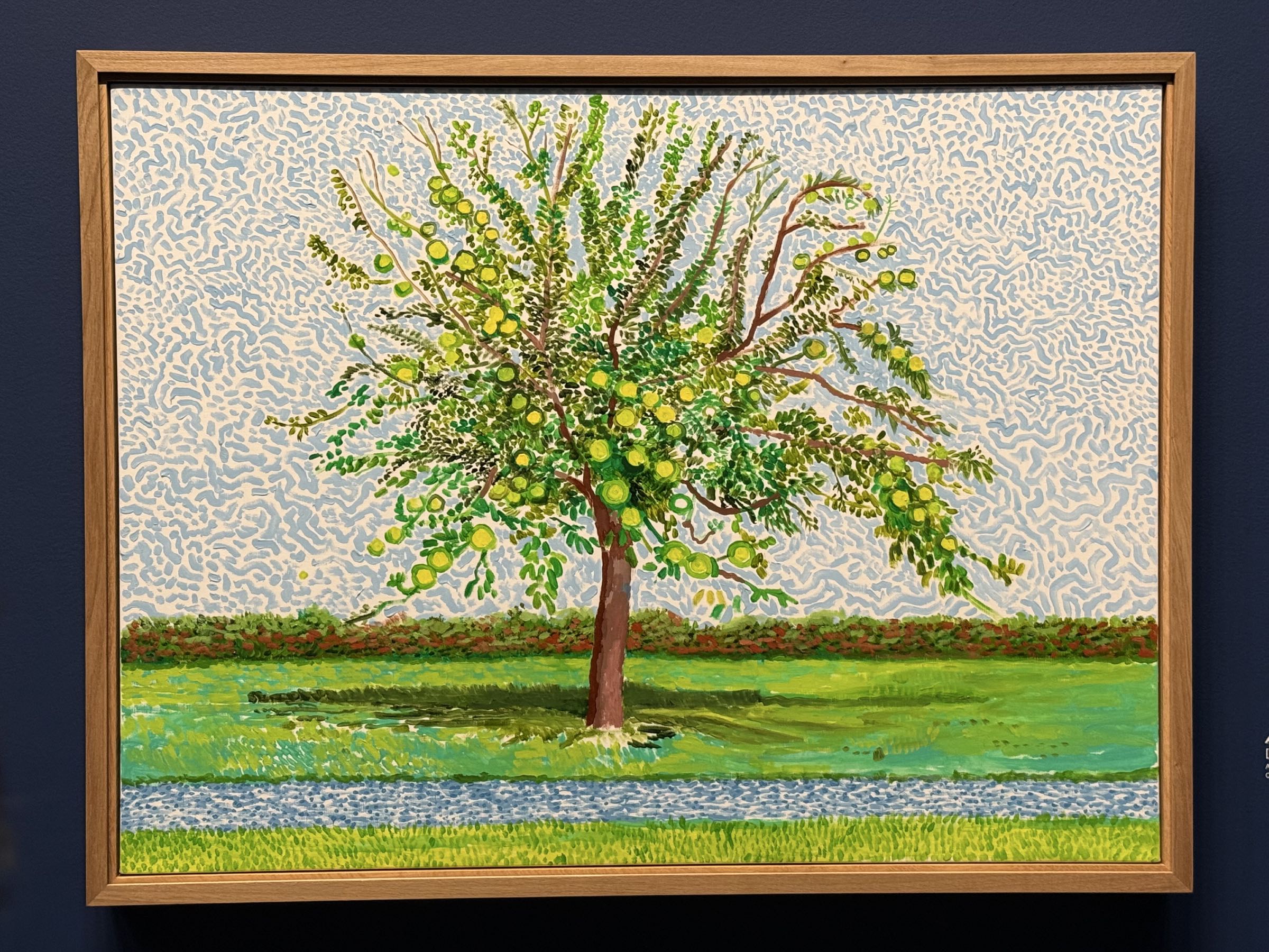 David Hockney — Ma Normandie