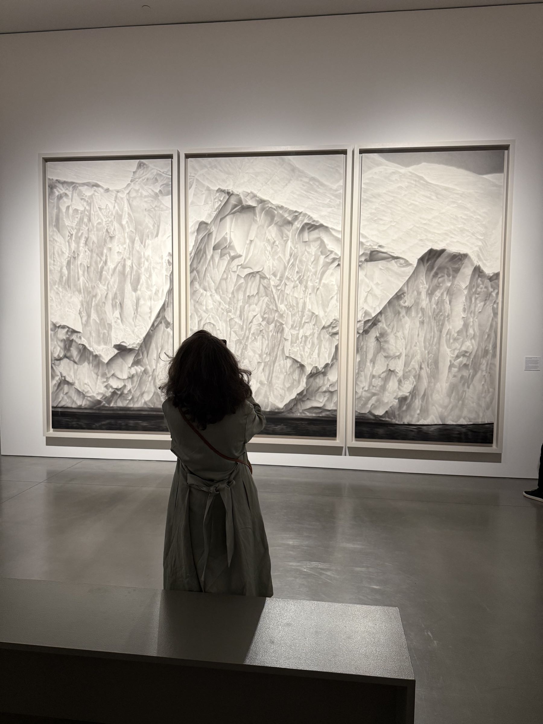 Robert Longo — Untitled (Iceberg Triptych)