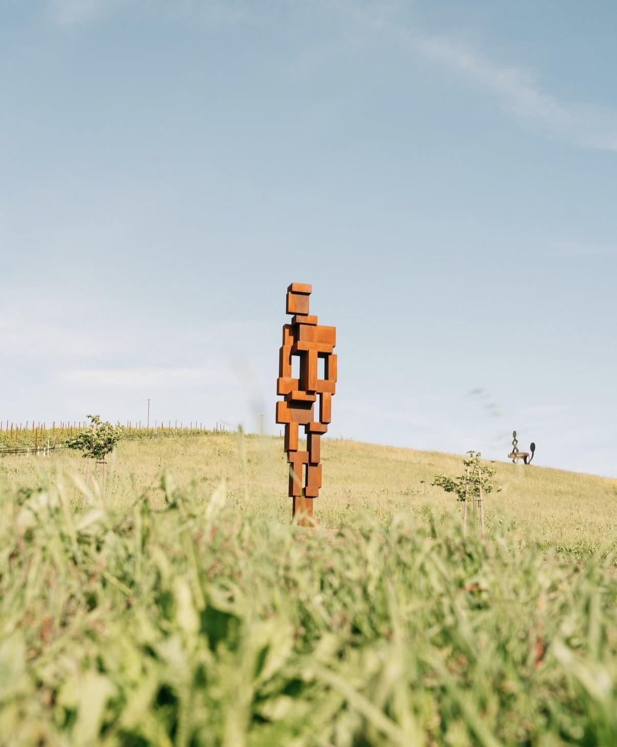 Antony Gormley — Look III