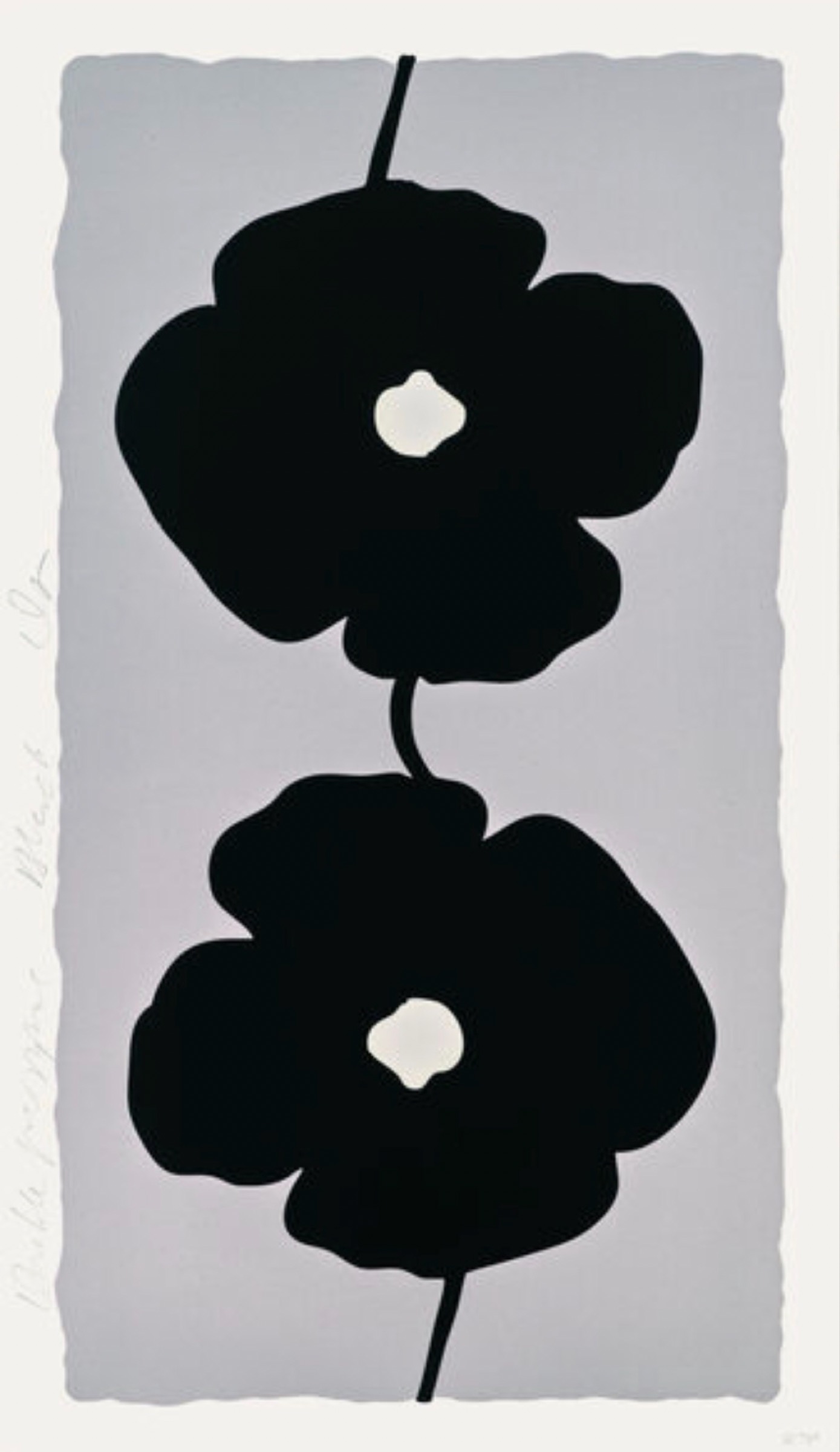 Double Poppies Black