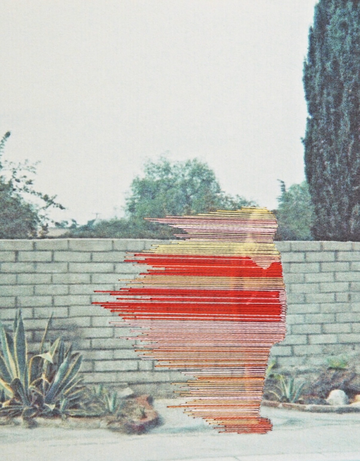 Which Way the Wind Blows