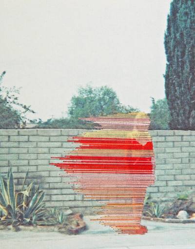 Which Way the Wind Blows