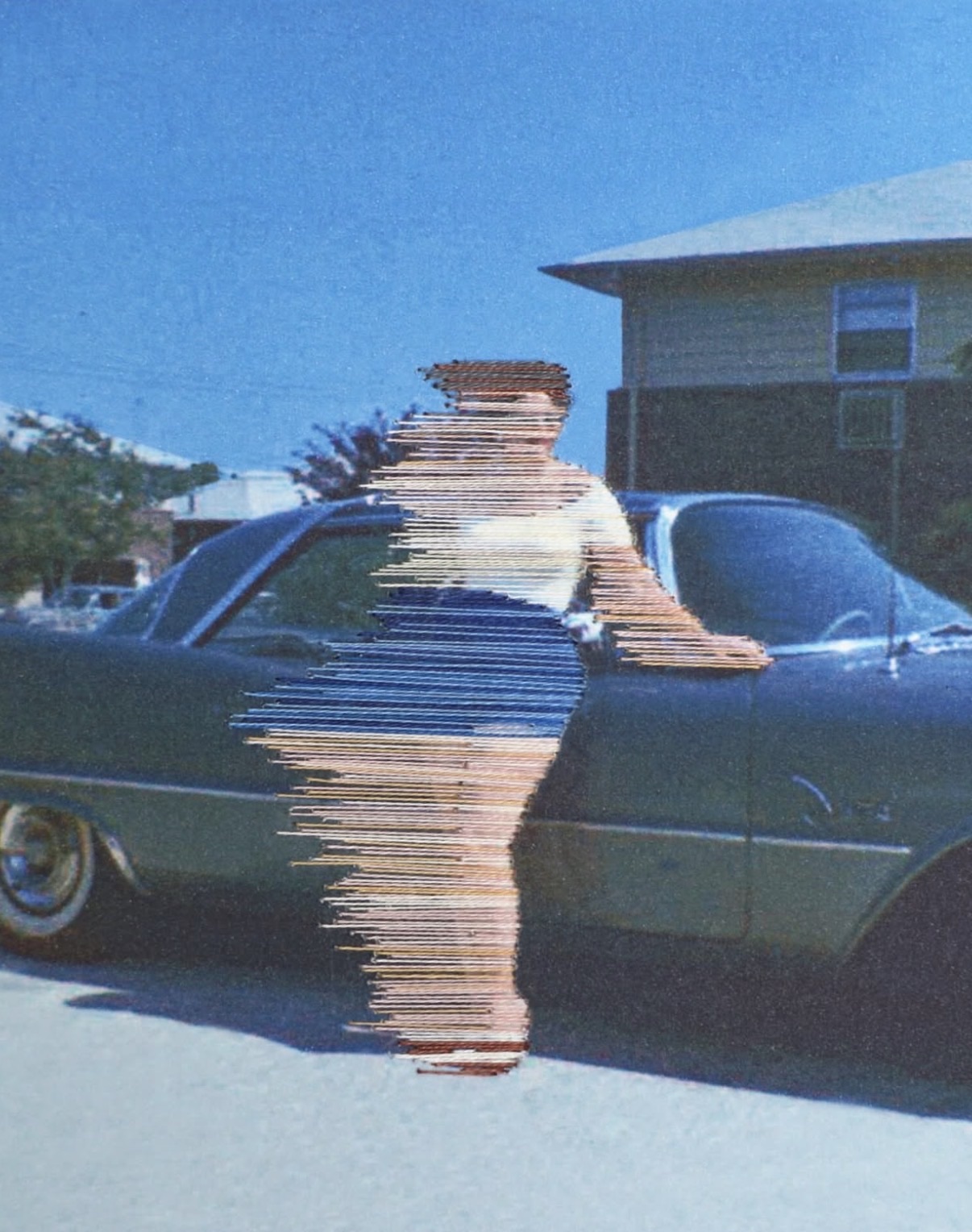 Which Way the Wind Blows