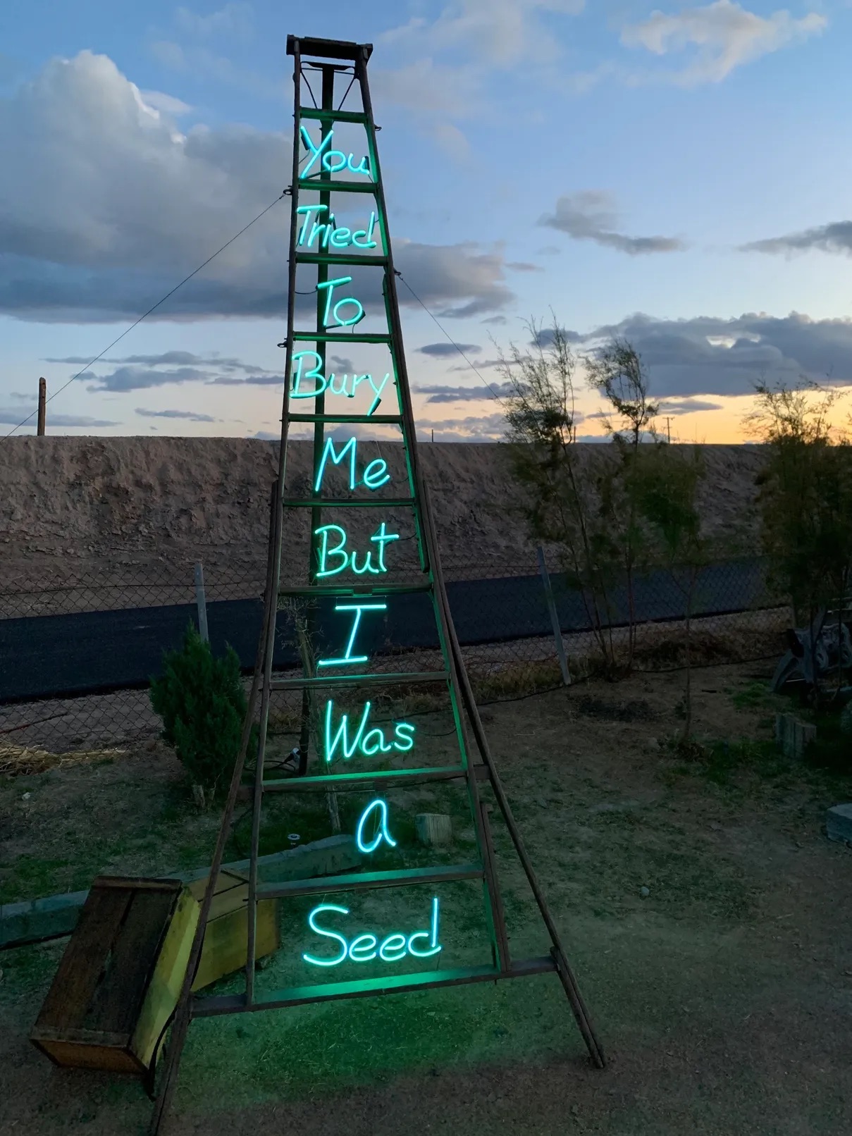 You Tried To Bury Me But I Was A Seed