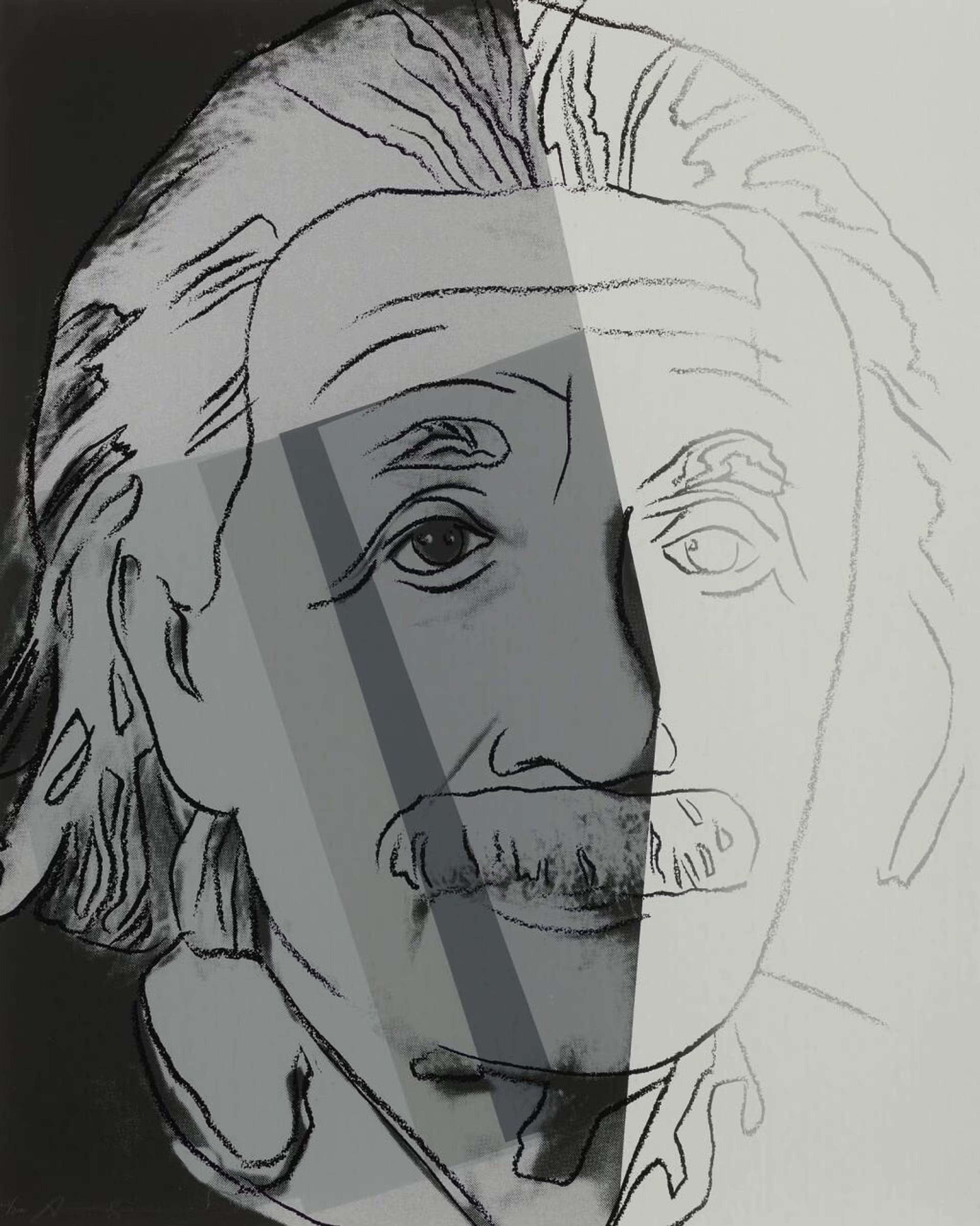 Andy Warhol — Einstein