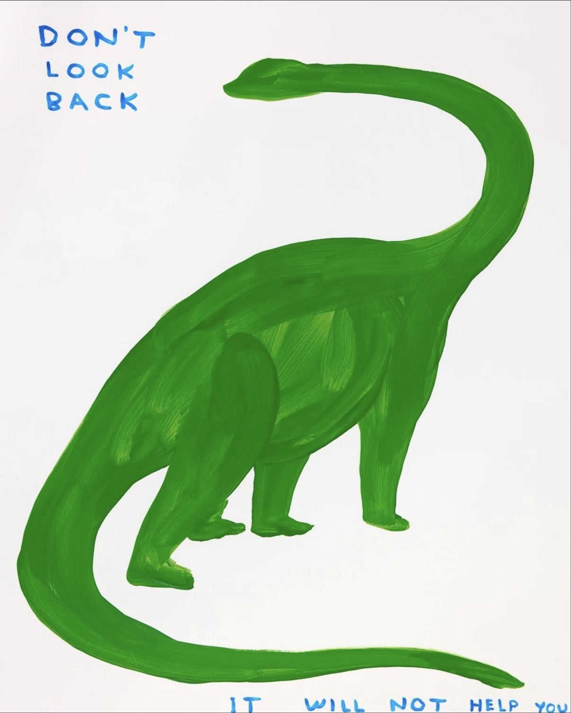 David Shrigley — Don't Look Back It Will Not Help You
