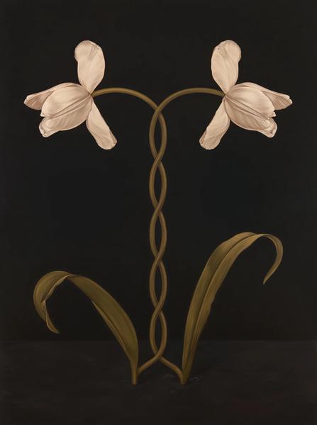 Meghann Stephenson — Mistaken For Strangers