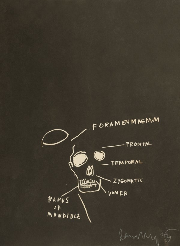 Jean-Michel Basquiat — Untitled (Ramus of Mandible) from Anatomy