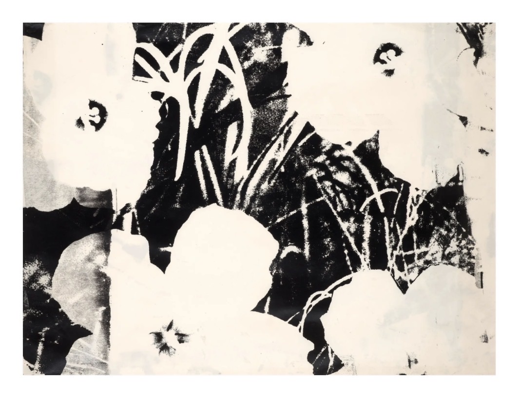Andy Warhol — Flowers