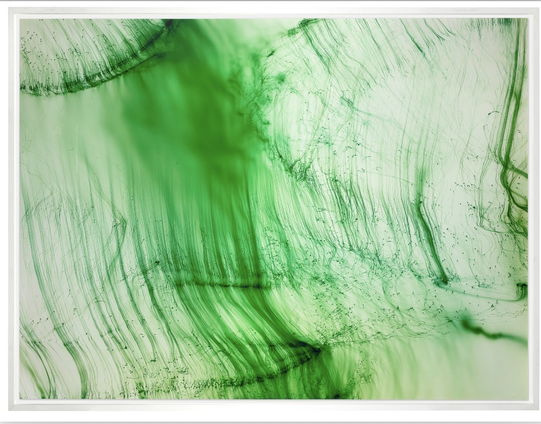 Wolfgang Tillmans — Freischwimmer 39