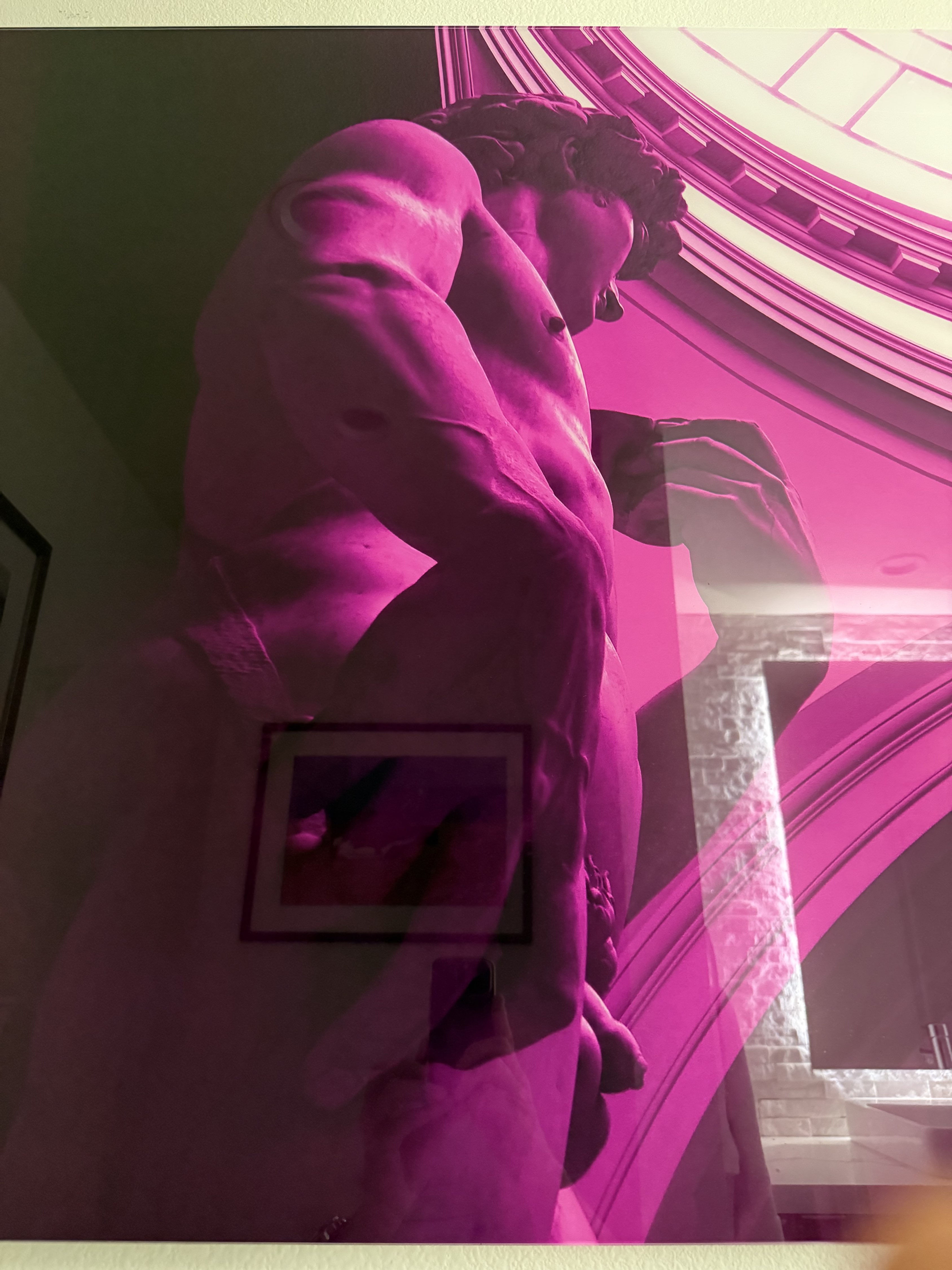 Curtis Cox — David (Fuchsia)