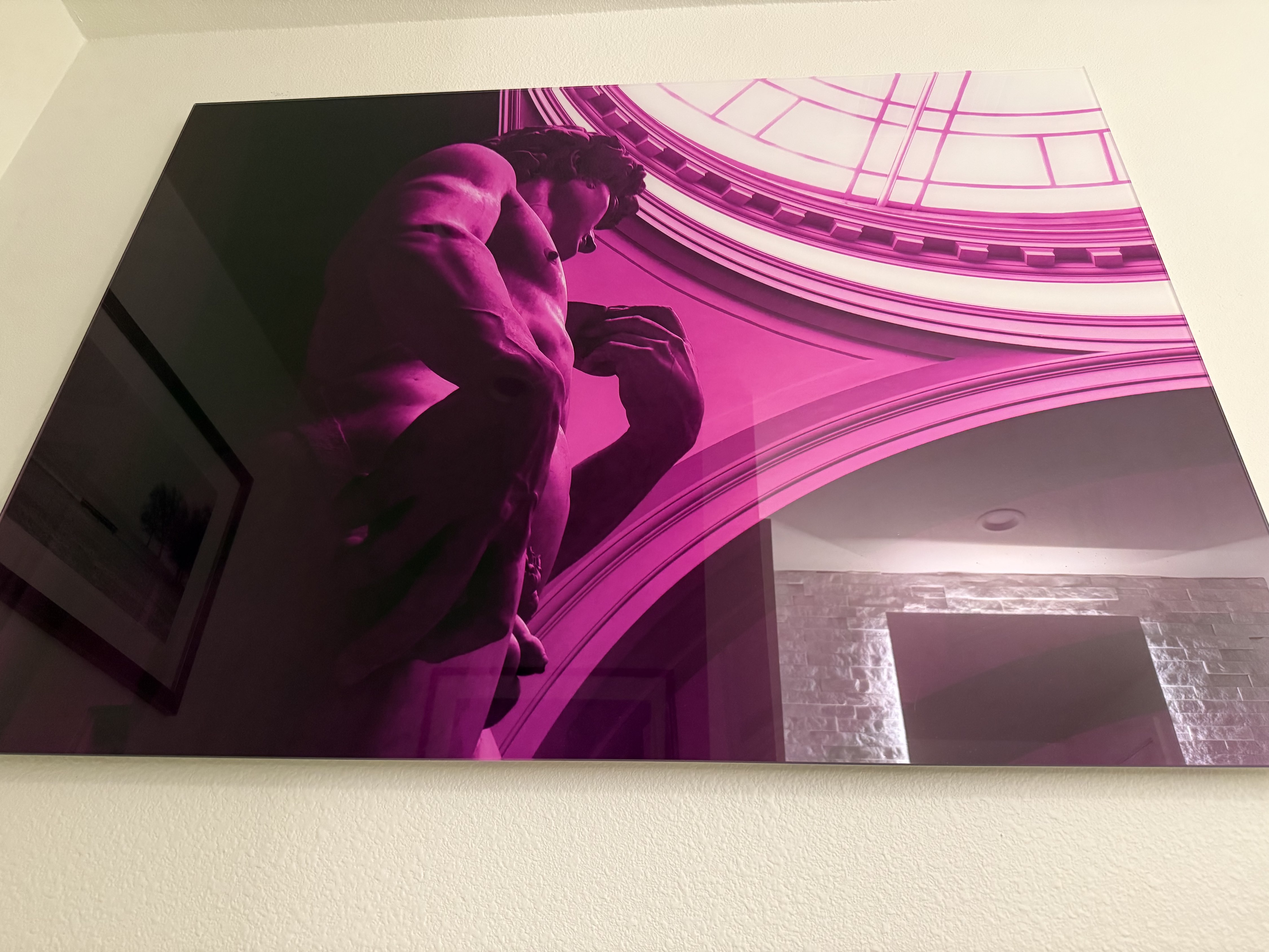 Curtis Cox — David (Fuchsia)