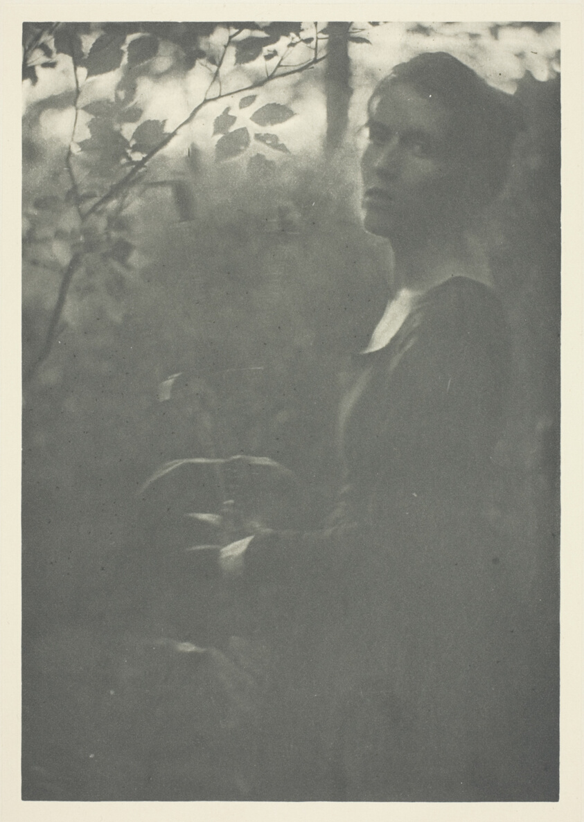 Clarence H. White — Edge of Woods, No. 10 from the portfolio "American Pictorial Photography, Series II” (1901); edition 34/150