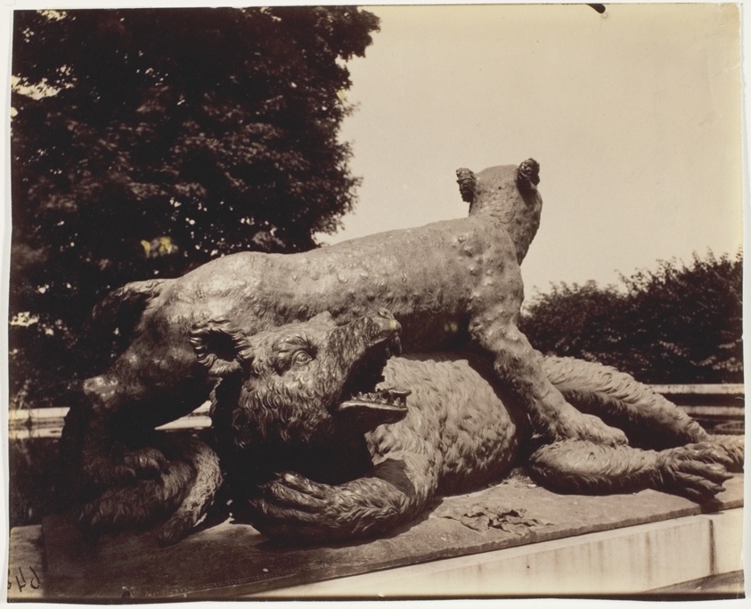 Jean-Eugène-Auguste Atget — Versailles, Fontaine du Point du Jour, (Tigre Terrassant un Ours par Houzeau)