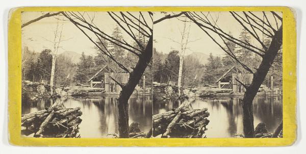 The Mill Pond near Laurel House, No. 9046 from the series "The Glens of the Catskills"