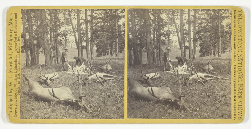 William I. Marshall — Successful Hunters dressing Elk, No. 56 from the series "Yellowstone National Park Views"