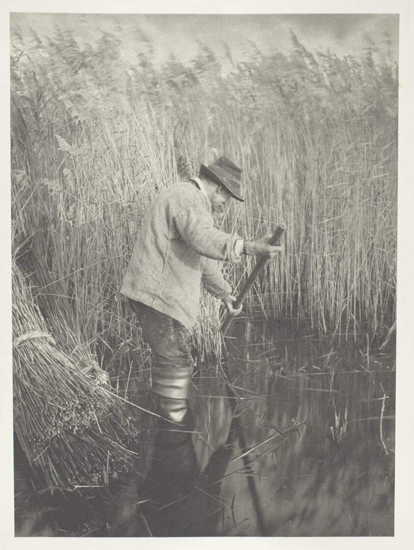 Peter Henry Emerson — A Reed-Cutter at Work