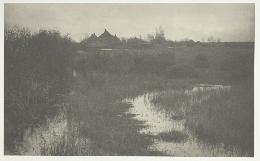 Peter Henry Emerson — The Fringe of the Marsh